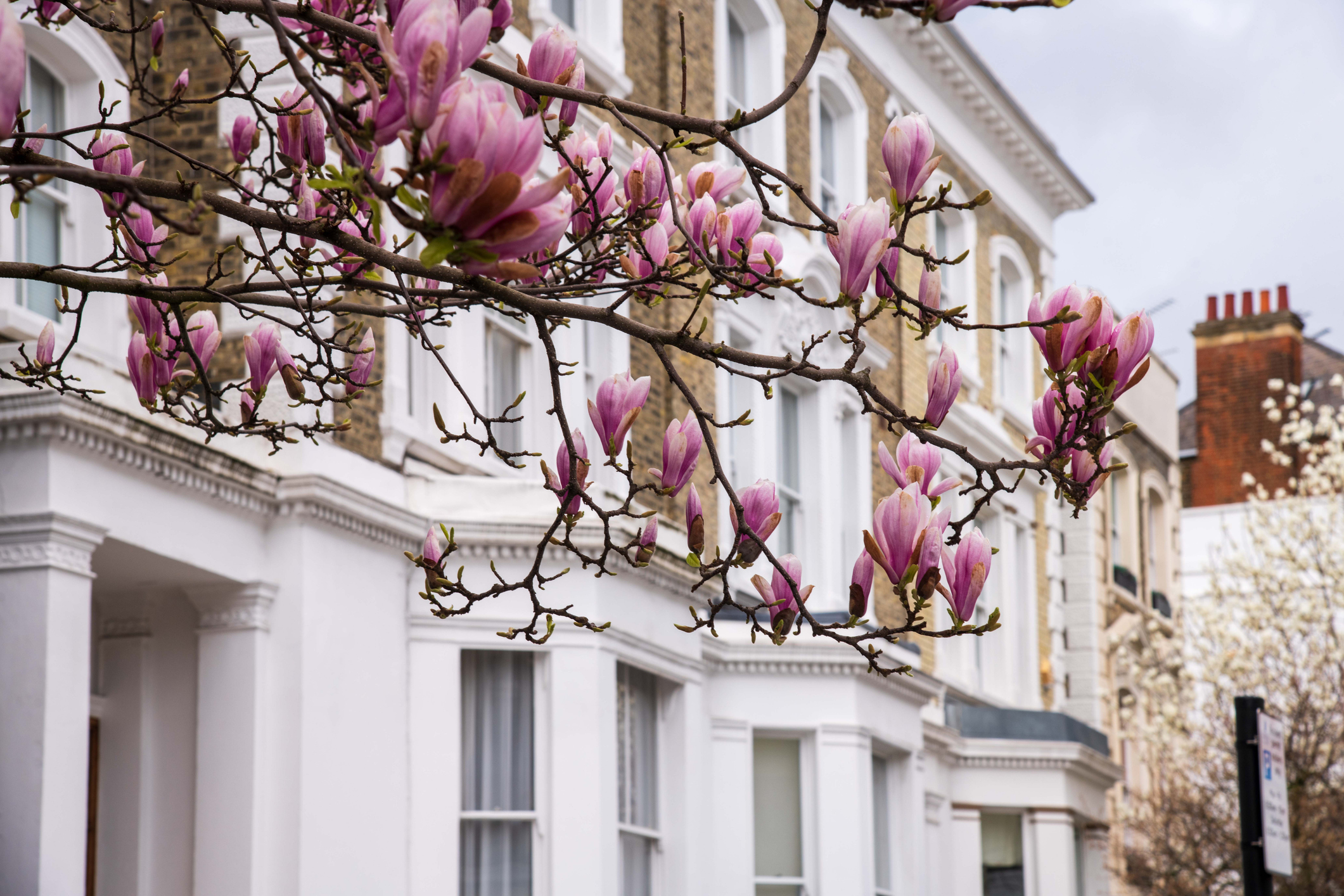 Are you really a first time buyer?