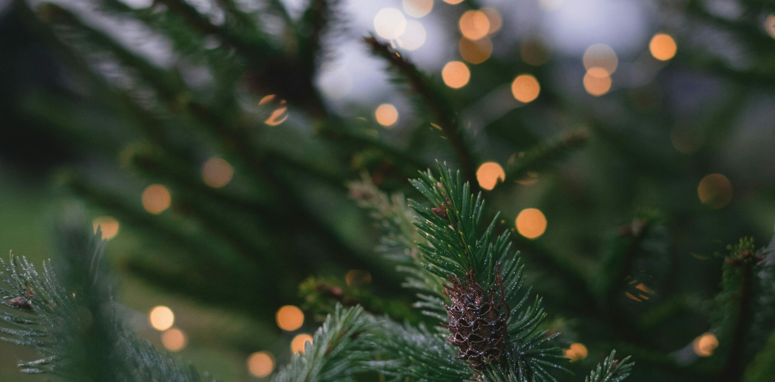 Making Christmas work for everyone after separation